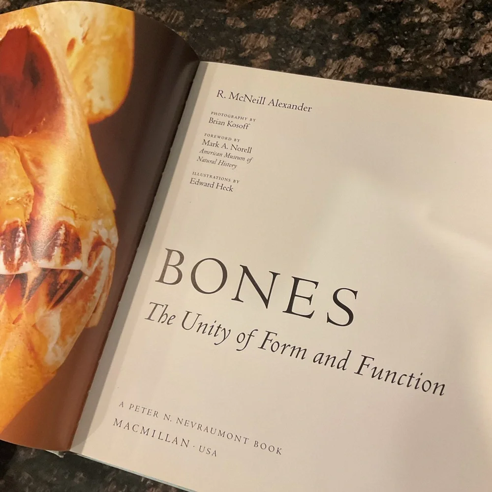 Bones: The Unity of Form and Function Book